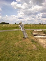 Камяний хрест на місці середньовічного поховання